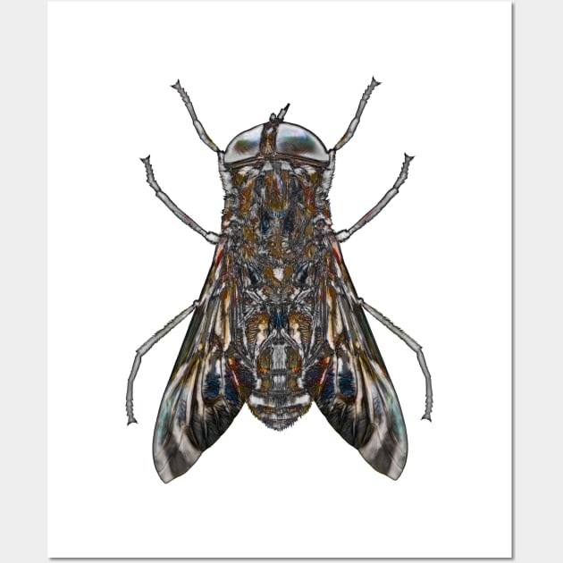 Horse Fly Wall Art by crunchysqueak